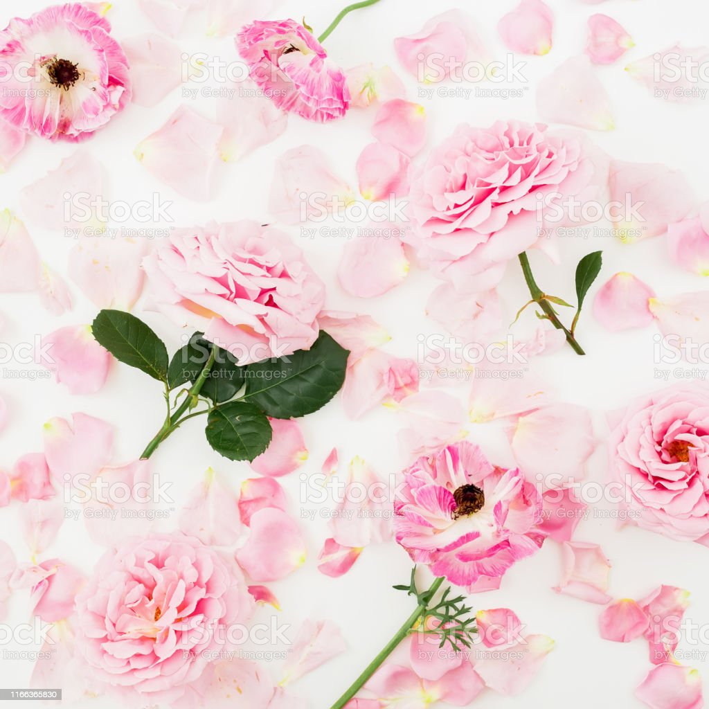 Detail Gambar Pola Kelopak Bunga Mawar Nomer 27