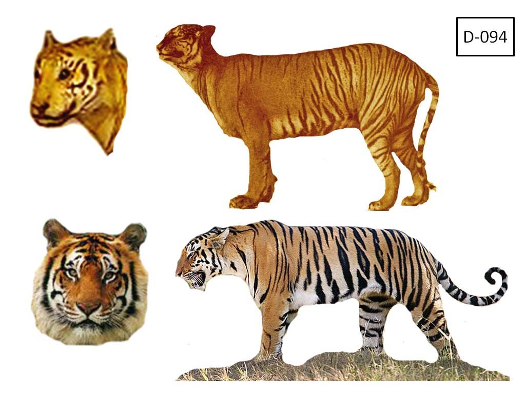 Detail Gambar Pola Wayang Kulit Hewan Harimau Nomer 38