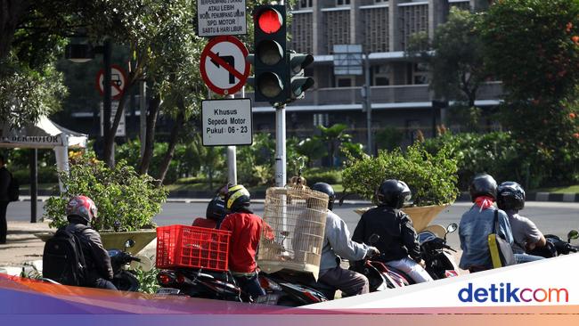 Detail Gambar Polisi Lampu Lalu Lintas Nomer 44