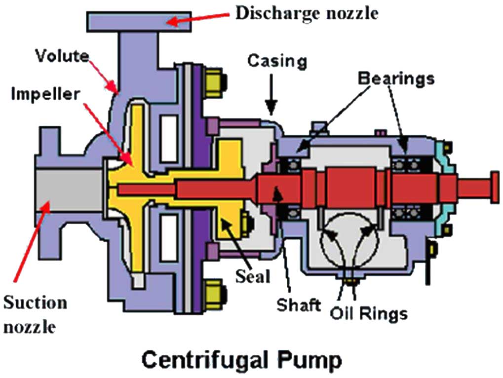 Detail Gambar Pompa Centrifugal Nomer 8