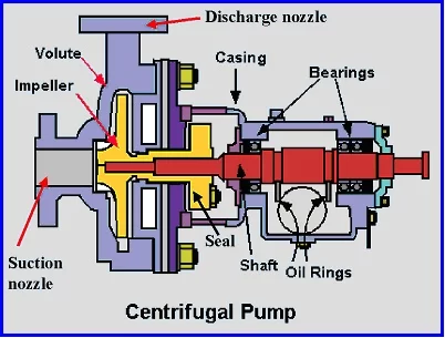 Detail Gambar Pompa Centrifugal Nomer 9