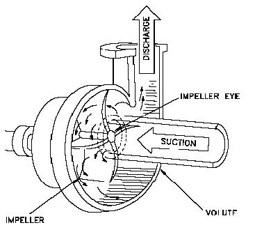 Detail Gambar Pompa Centrifugal Nomer 4