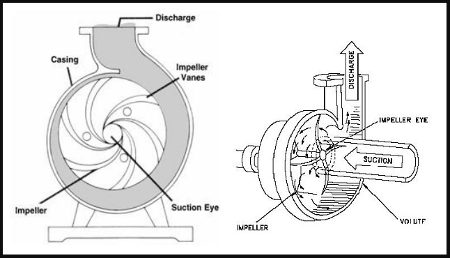 Detail Gambar Pompa Sentrifugal Nomer 5