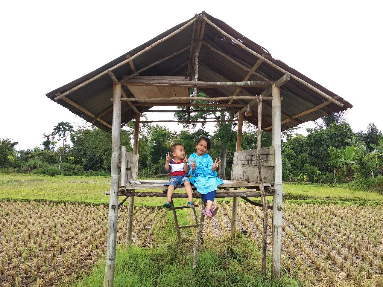 Detail Gambar Pondok Di Sawah Nomer 16