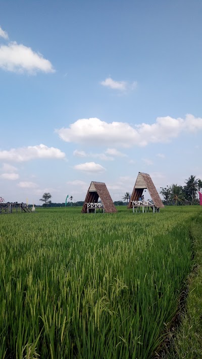 Detail Gambar Pondok Di Sawah Nomer 39