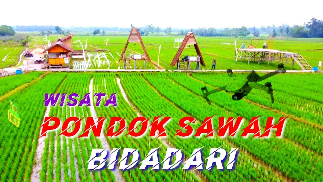 Detail Gambar Pondok Di Sawah Nomer 41