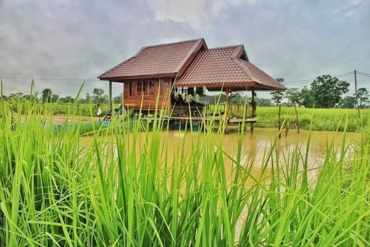 Detail Gambar Pondok Di Sawah Nomer 42