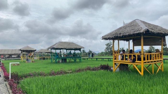 Detail Gambar Pondok Di Sawah Nomer 47