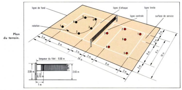 Detail Gambar Posisi Pemain Bola Voli Nomer 30