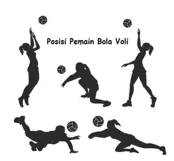 Detail Gambar Posisi Pemain Bola Voli Nomer 37