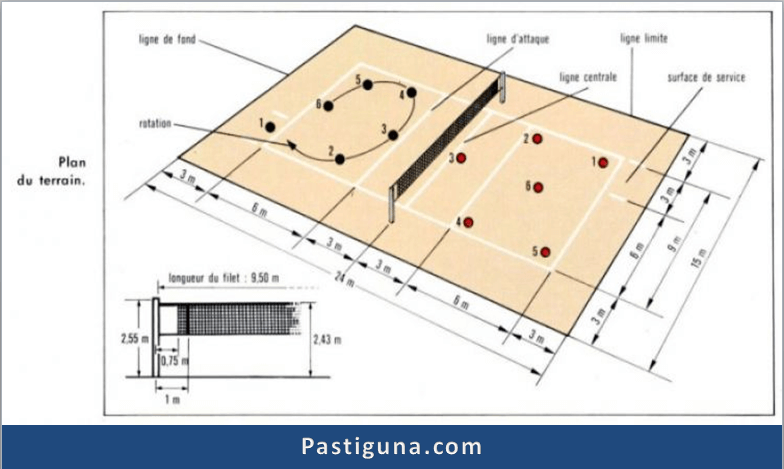 Detail Gambar Posisi Pemain Dalam Permainan Bola Voli Nomer 11