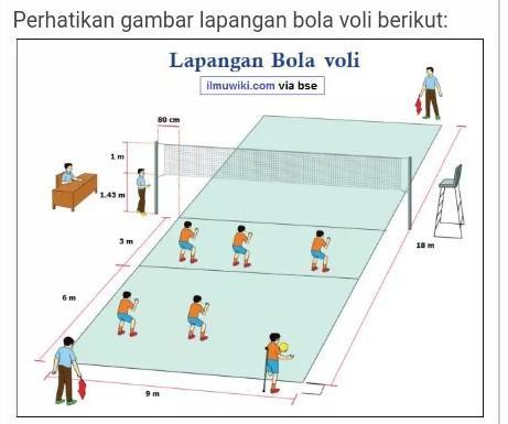 Detail Gambar Posisi Pemain Dalam Permainan Bola Voli Nomer 36