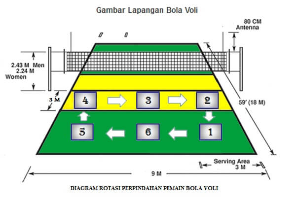 Detail Gambar Posisi Pemain Dalam Permainan Bola Voli Nomer 39