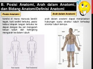 Detail Gambar Posisi Tubuh Dalam Anatomi Fisiologi Nomer 17