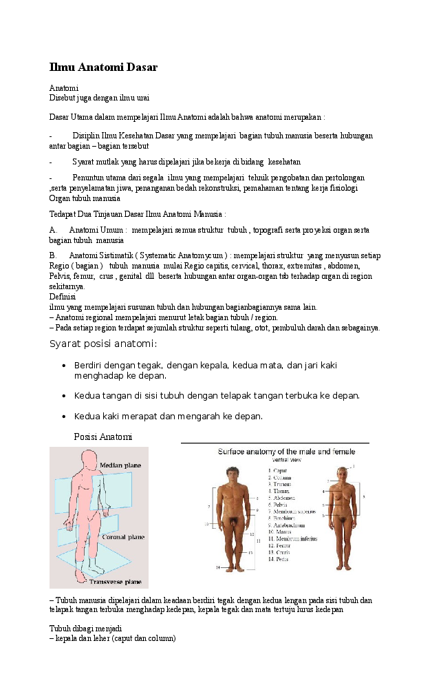 Detail Gambar Posisi Tubuh Dalam Anatomi Fisiologi Nomer 19