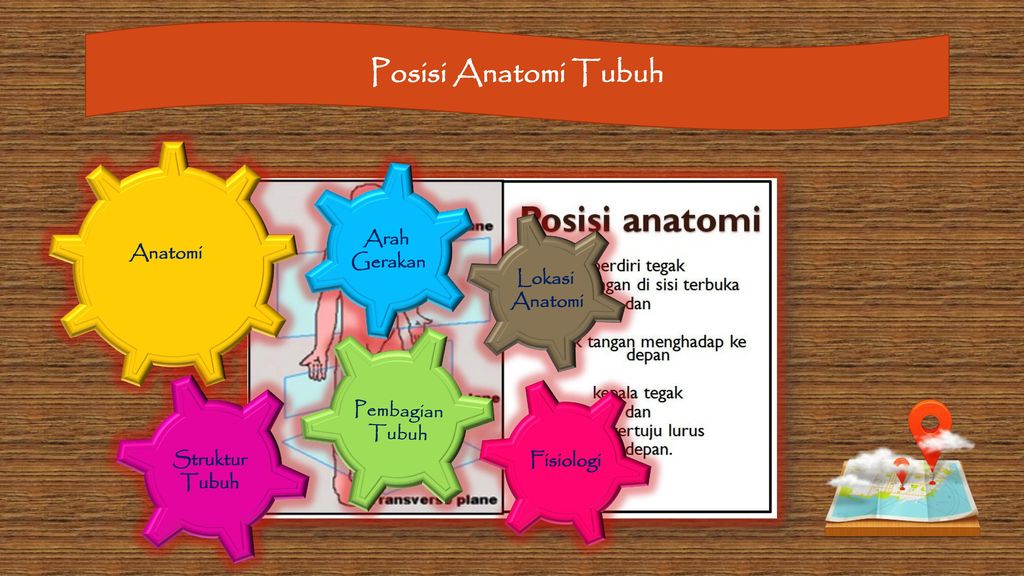 Detail Gambar Posisi Tubuh Dalam Anatomi Fisiologi Nomer 28