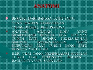 Detail Gambar Posisi Tubuh Dalam Anatomi Fisiologi Nomer 38