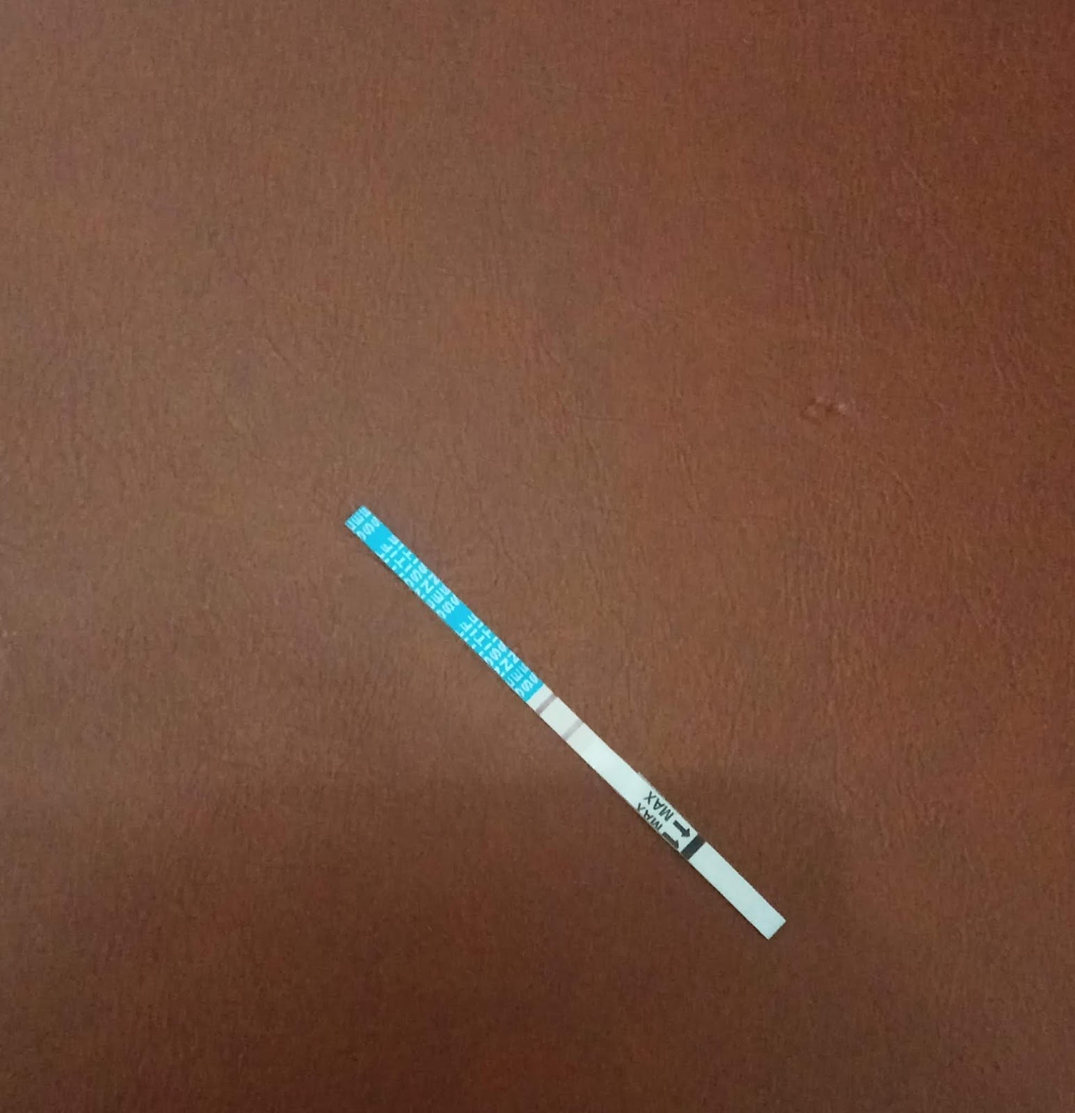 Detail Gambar Positif Hamil Nomer 26