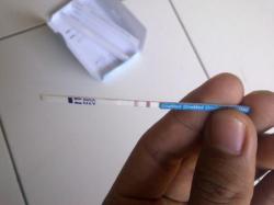 Detail Gambar Positif Hamil Nomer 46
