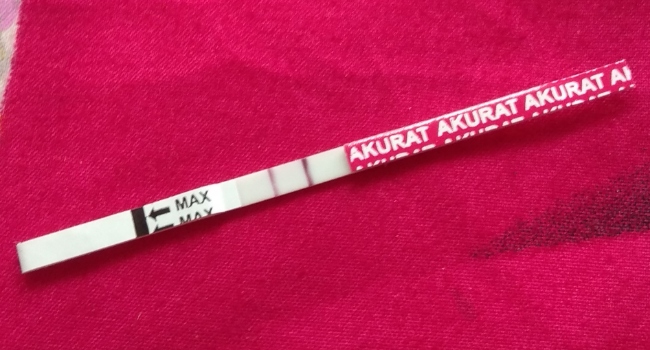 Detail Gambar Positif Hamil Nomer 47