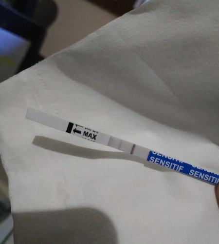 Detail Gambar Positif Hamil Nomer 8