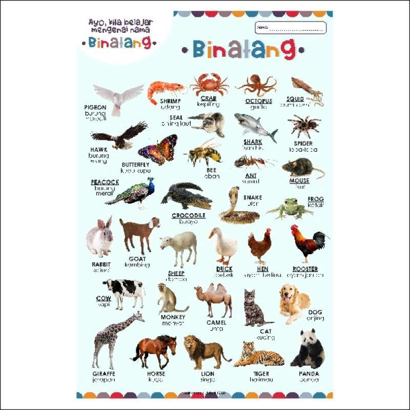 Detail Gambar Poster Binatang Nomer 12
