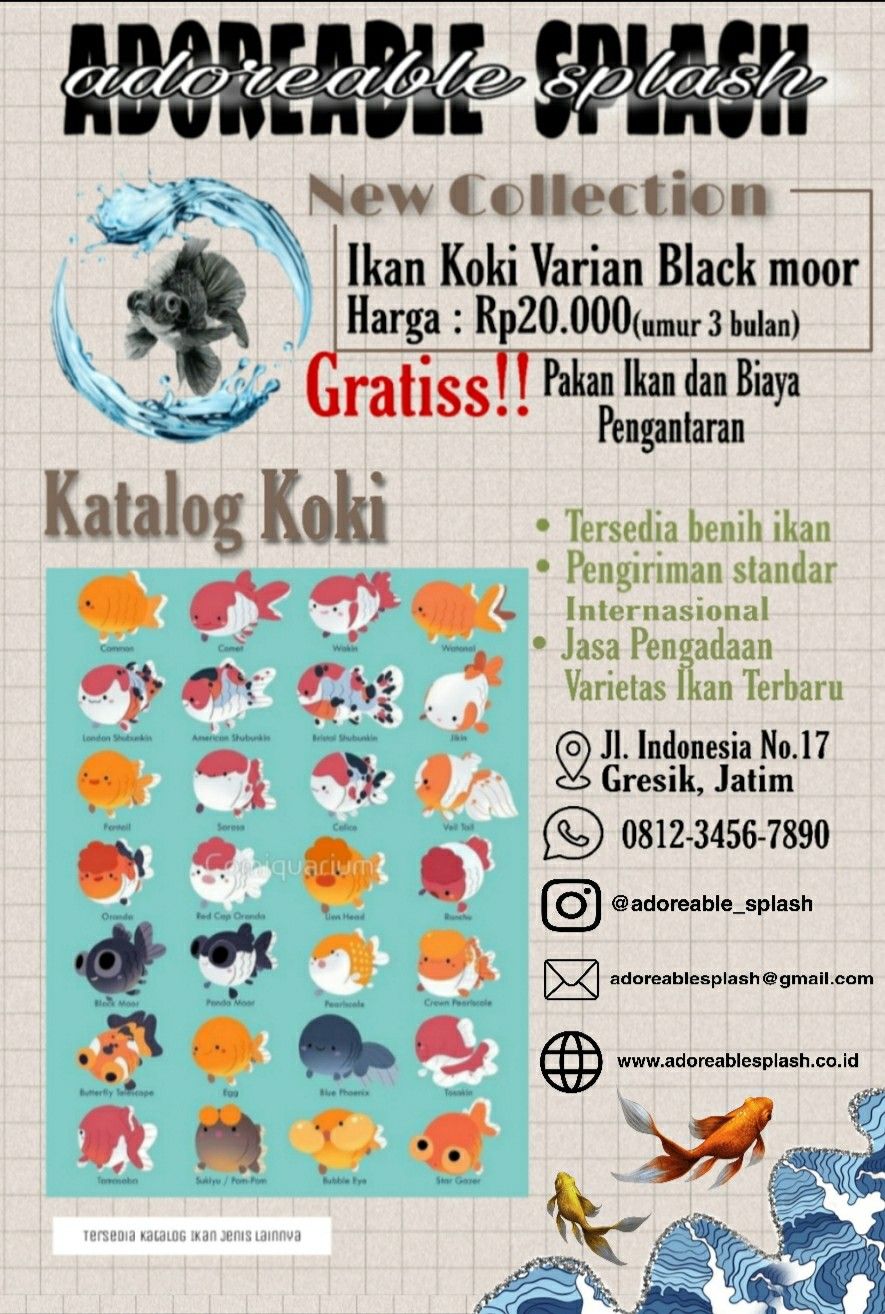 Detail Gambar Poster Ikan Nomer 19