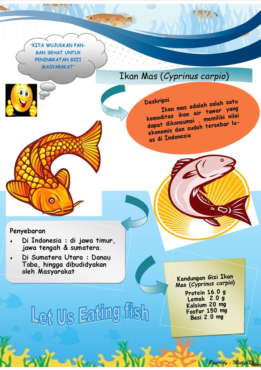 Detail Gambar Poster Ikan Nomer 26