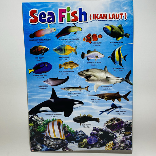 Detail Gambar Poster Ikan Nomer 50