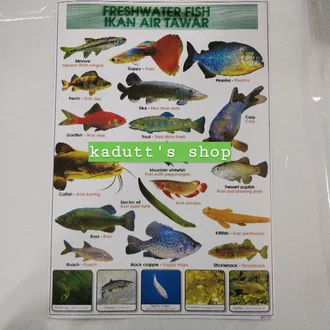 Detail Gambar Poster Ikan Nomer 53