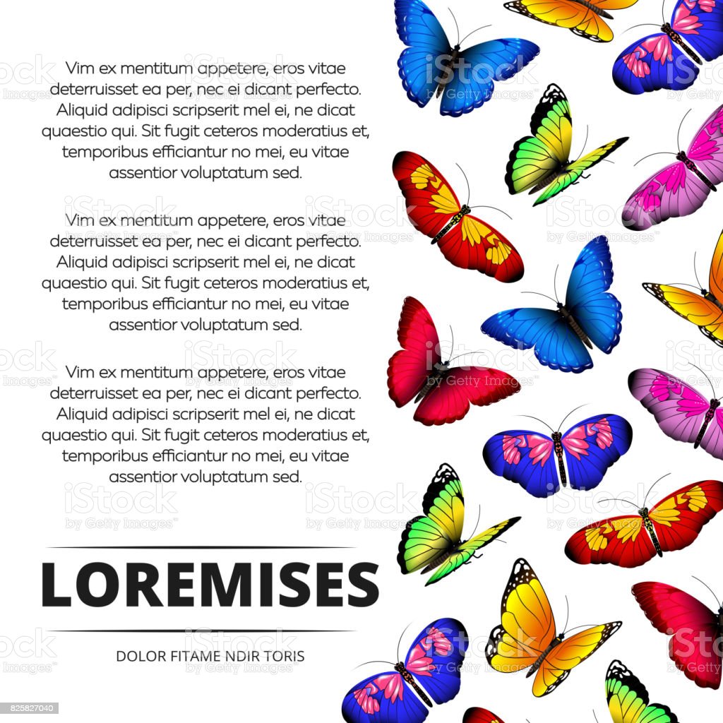 Detail Gambar Poster Kupu Kupu Nomer 56