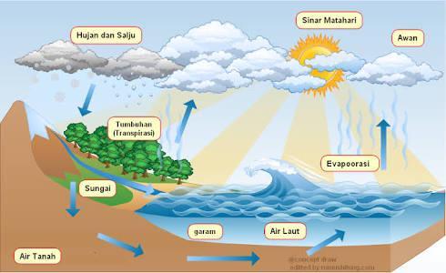 Detail Gambar Poster Siklus Air Nomer 11