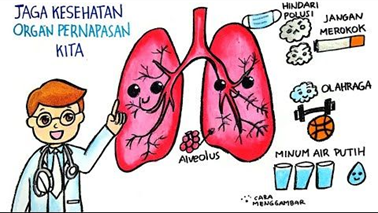 Detail Gambar Poster Tentang Organ Pernapasan Nomer 12