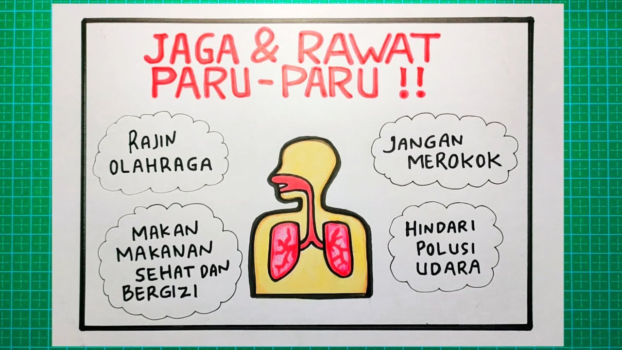 Detail Gambar Poster Tentang Organ Pernapasan Nomer 5