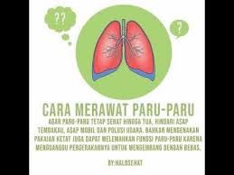 Detail Gambar Poster Tentang Organ Pernapasan Nomer 41