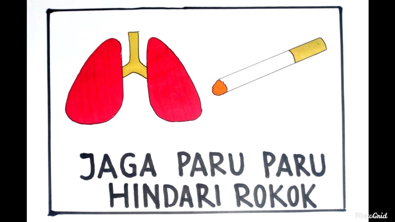 Detail Gambar Poster Tentang Organ Pernapasan Nomer 10