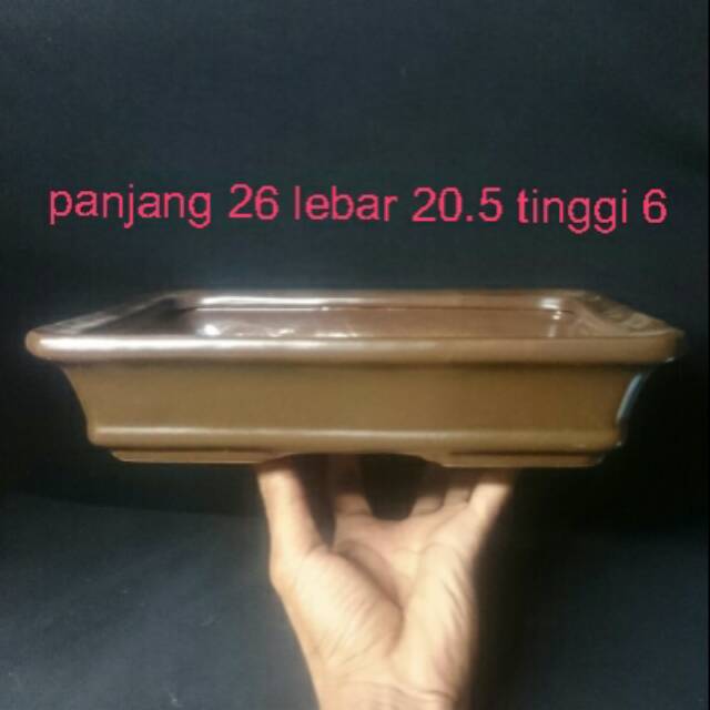 Detail Gambar Pot Bonsai Ceper Nomer 37