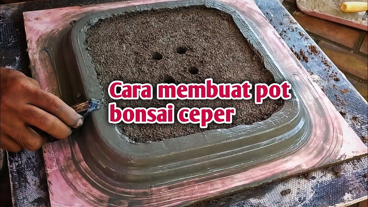 Detail Gambar Pot Bonsai Ceper Nomer 42