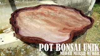 Detail Gambar Pot Bonsai Unik Nomer 48