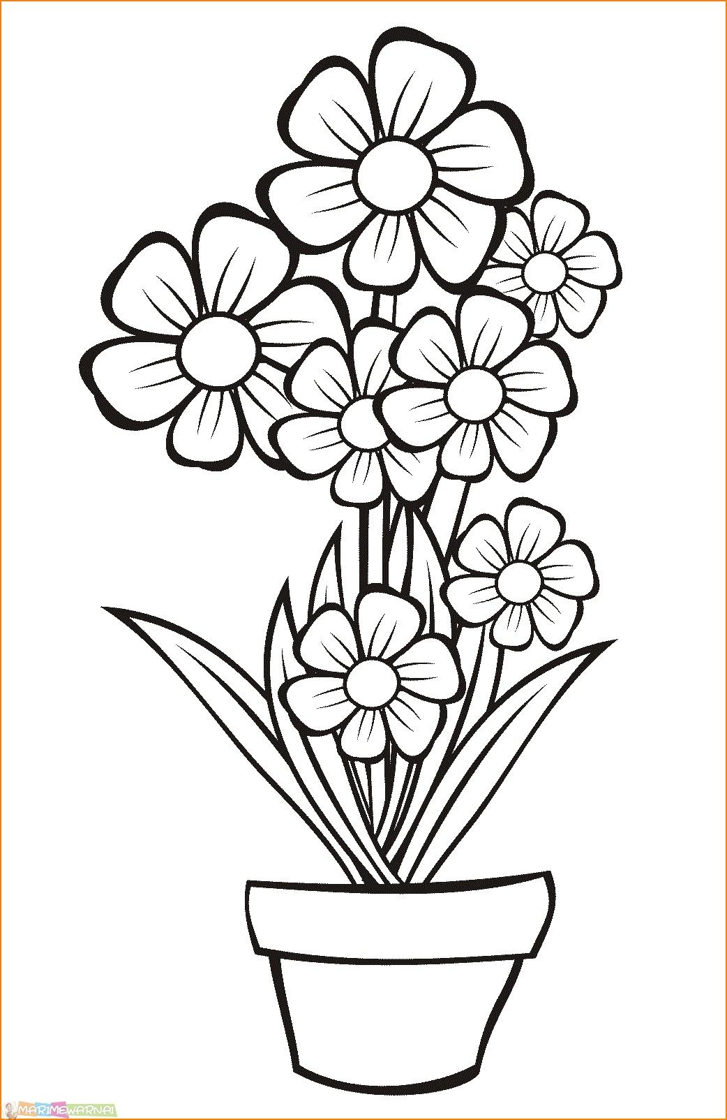 Detail Gambar Pot Bunga Anak Sd Nomer 16