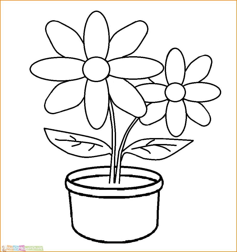 Detail Gambar Pot Bunga Anak Sd Nomer 44