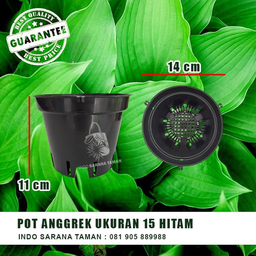 Detail Gambar Pot Bunga Anggrek Nomer 52