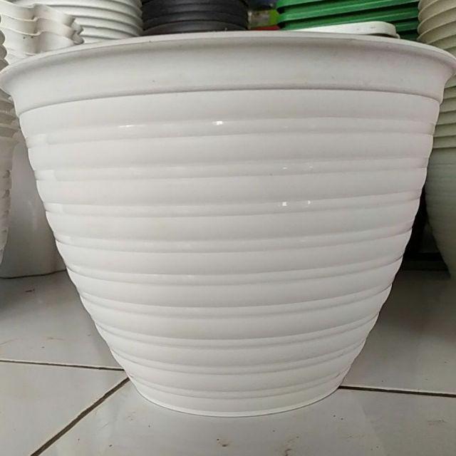 Detail Gambar Pot Bunga Asli Nomer 6