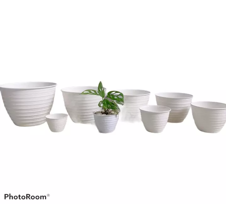 Detail Gambar Pot Bunga Asli Nomer 52
