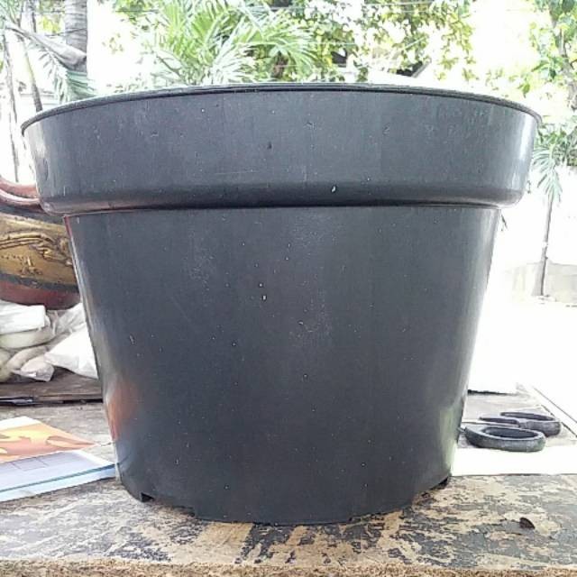 Detail Gambar Pot Bunga Berwarna Nomer 33