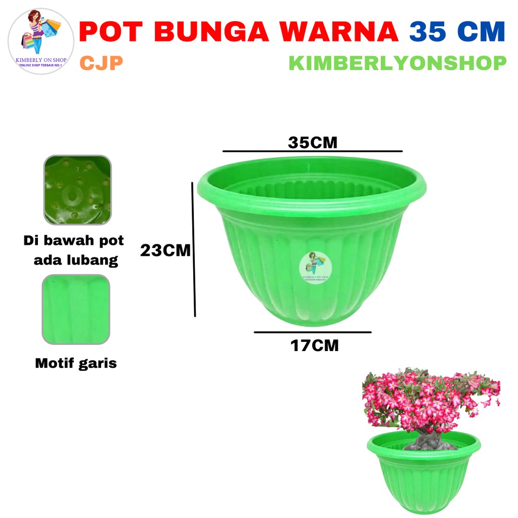 Detail Gambar Pot Bunga Berwarna Nomer 38