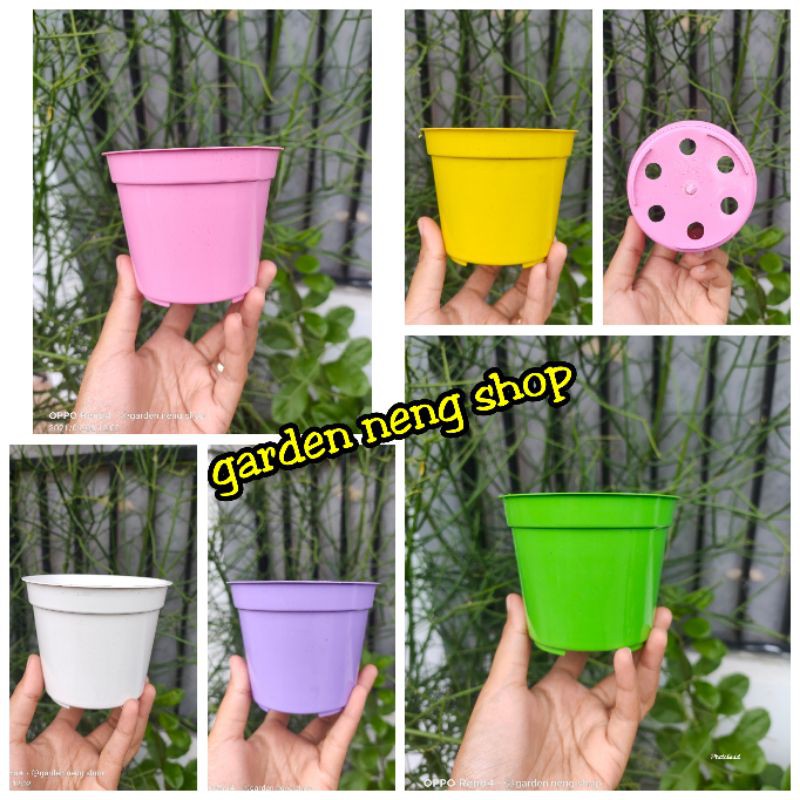 Detail Gambar Pot Bunga Berwarna Nomer 43