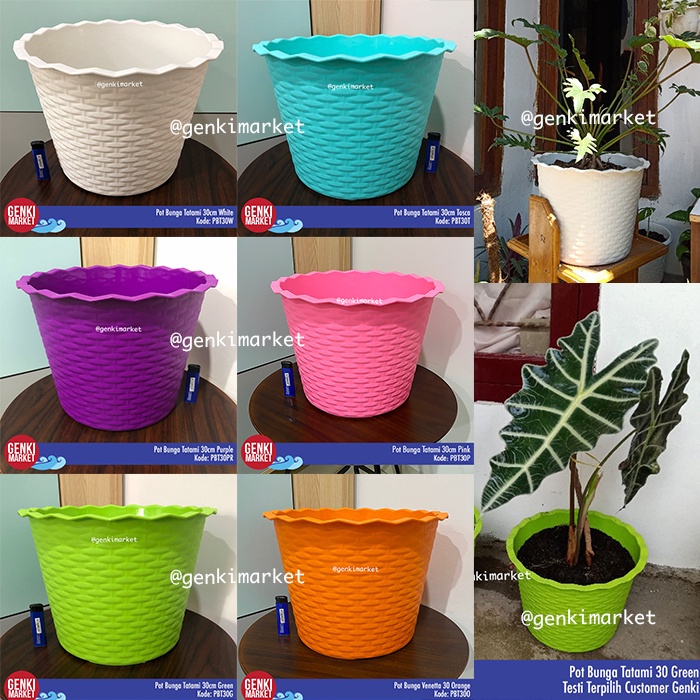 Detail Gambar Pot Bunga Besar Nomer 48