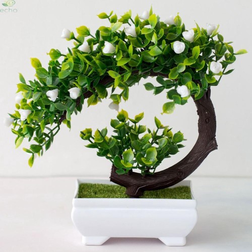 Detail Gambar Pot Bunga Bonsai Nomer 14