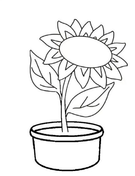Detail Gambar Pot Bunga Dan Bunganya Nomer 15